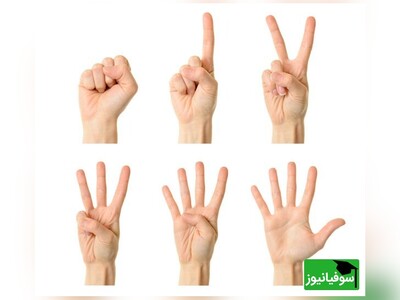 ویدیو/ اطلاعات عمومی/ چند سوال از دانستنی‌های "واحد شمارش" را پاسخ دادید؟