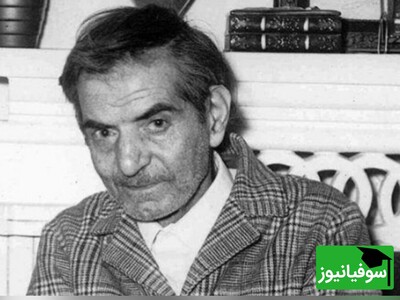 ویدئو/ عاشقانه‌ترین دقایق با صدای «استاد شهریار»؛ جادوی شعر و احساس در "دلی که با تو شبی مونس و موانس شد"