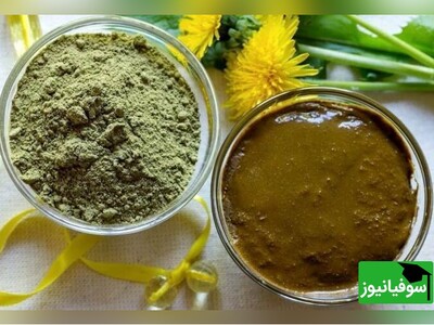 ویدیو/ خواص بی‌نظیر "حنا" برای دفع سموم بدن