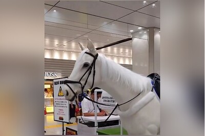 (ویدئو) رونمایی ژاپن از نخستین اسب رباتی/ اونقدر طبیعی هست که با اصلش مو نمی‌زنه