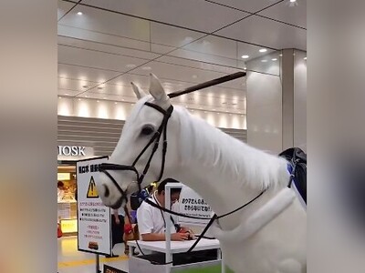 (ویدئو) رونمایی ژاپن از نخستین اسب رباتی/ اونقدر طبیعی هست که با اصلش مو نمی‌زنه