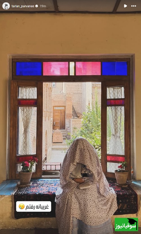 ترلان پروانه