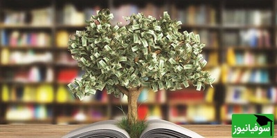 (عکس) زیباترین کتابخانه‌ای که طبیعت را در آغوش کشیده؛ خلاقیت چشم‌نواز هنرمندی عاشقِ محیط زیست