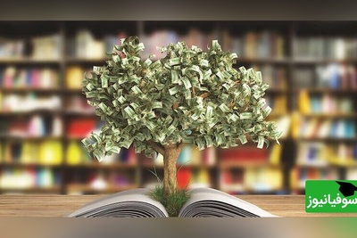 (عکس) زیباترین کتابخانه‌ای که طبیعت را در آغوش کشیده؛ خلاقیت چشم‌نواز هنرمندی عاشقِ محیط زیست