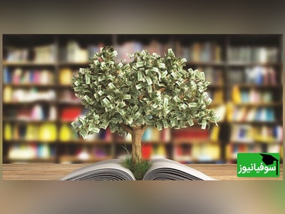 (عکس) زیباترین کتابخانه‌ای که طبیعت را در آغوش کشیده؛ خلاقیت چشم‌نواز هنرمندی عاشقِ محیط زیست
