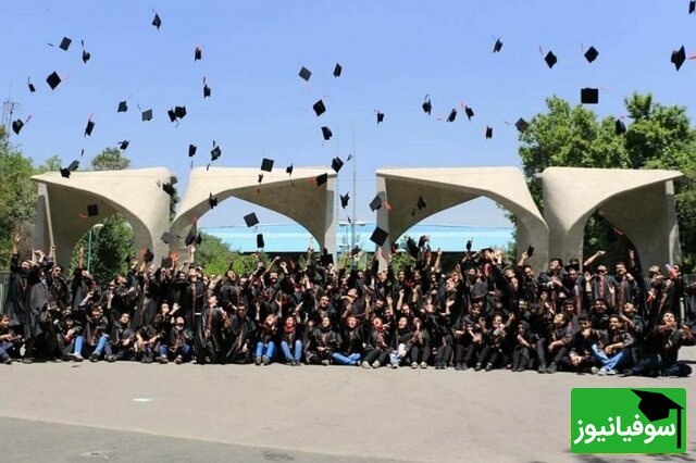 شگفتی تازه از دانشگاه تهران؛ چرا 78٪ فارغ‌التحصیلان کارآفرینی بلافاصله وارد بازار کار می‌شوند؟