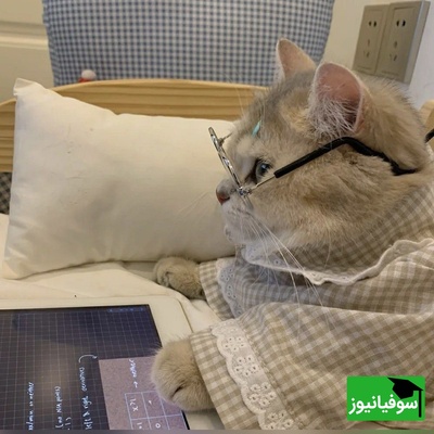 (عکس) پدر و مادر ایرانی خسته از بچه تنبل خود دست به خلاقیت عجیبی زدن؛ ببینید برای درس خوندن پسرشون دست به چه کاری زدن!😂