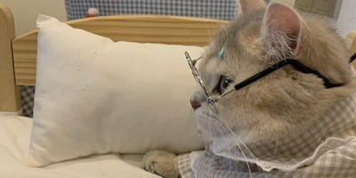 (عکس) پدر و مادر ایرانی خسته از بچه تنبل خود دست به خلاقیت عجیبی زدن؛ ببینید برای درس خوندن پسرشون دست به چه کاری زدن!😂