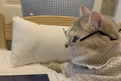 (عکس) پدر و مادر ایرانی خسته از بچه تنبل خود دست به خلاقیت عجیبی زدن؛ ببینید برای درس خوندن پسرشون دست به چه کاری زدن!😂