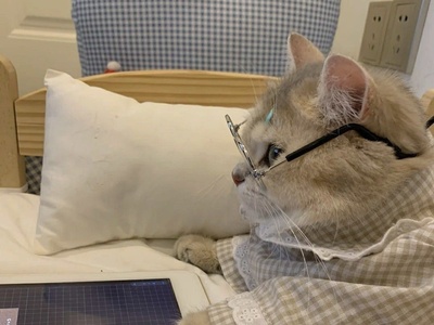 (عکس) پدر و مادر ایرانی خسته از بچه تنبل خود دست به خلاقیت عجیبی زدن؛ ببینید برای درس خوندن پسرشون دست به چه کاری زدن!😂