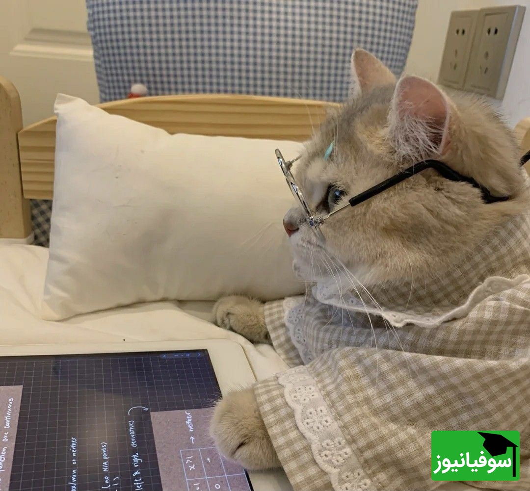 (عکس) پدر و مادر ایرانی خسته از بچه تنبل خود دست به خلاقیت عجیبی زدن؛ ببینید برای درس خوندن پسرشون دست به چه کاری زدن!😂