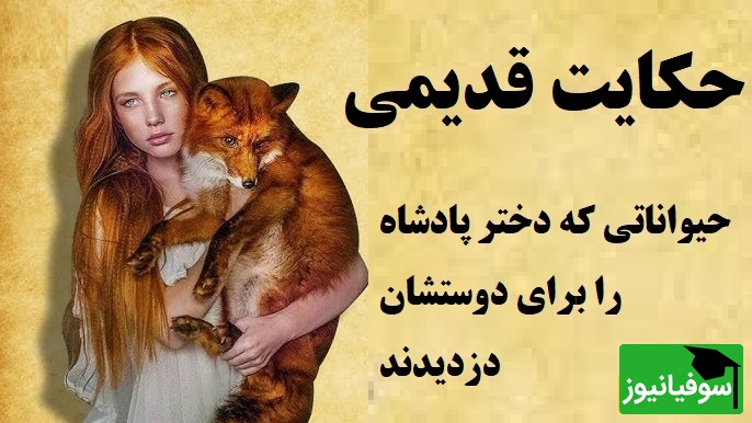حکایت کوتاه و خواندنی / داستان جذاب حیواناتی که دختر پادشاه را برای دوستشان دزدیدند + ویدئو
