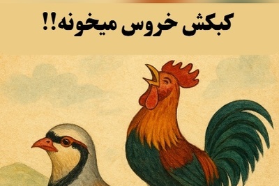 (ویدئو) این ضرب‌المثل باستانی ایرانی، خوشحالی واقعی را برای شما معنی می‌کند