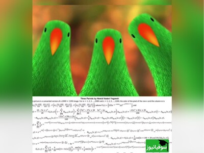 (ویدئو) خلاقیت خاص و منحصربه‌فرد دانشجوی ایرانی در ترکیب ریاضیات و هنر در جهان حماسه آفرید/ وقتی فرمول ریاضی به صورت «ماهی» و «طاووس» درمیاد