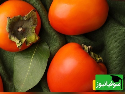 (ویدئو) خرمالو را با پوست نخورید! اتفاقی که در معده شما می‌افتد، شوکه‌تان می‌کند.