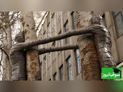 ویدیو/ خلاقیت بی‌نظیر شهرداری شیراز در تبدیل درخت خشکیده به اثر هنری چشم‌نواز با اقتباس از داستان سیمرغ