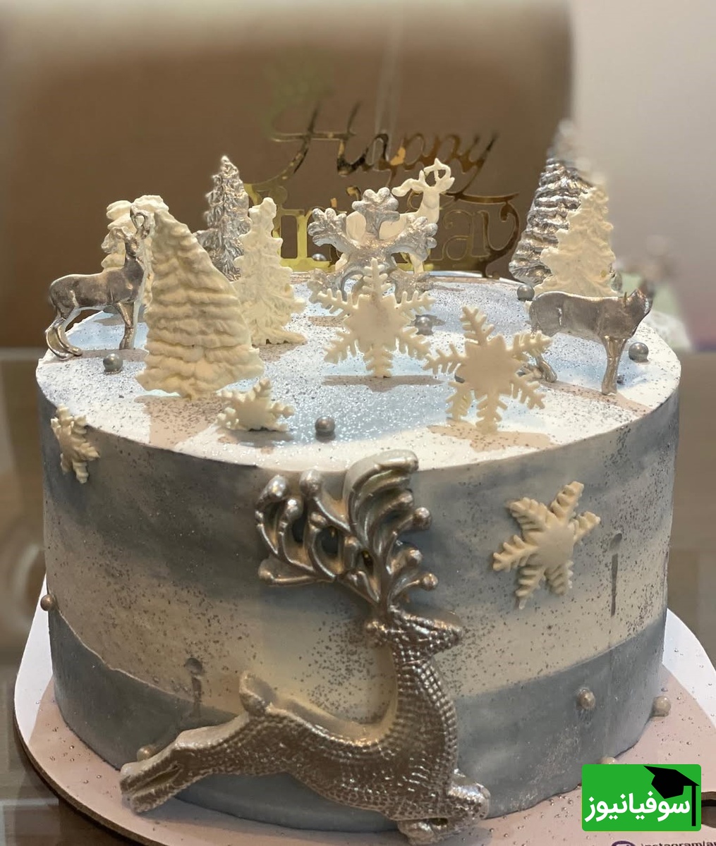 تولد سوگل طهماسبی