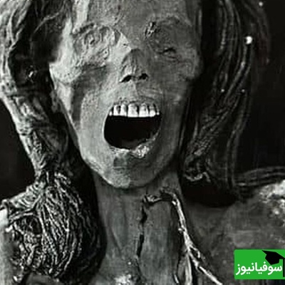 (تصاویر) ترسناک‌ترین مومیایی مصر باستان با موهای واقعی رنگ‌شده با حنا! / چهره‌ای که بعد از 3 هزار سال هنوز زنده به نظر می‌رسد 😱
