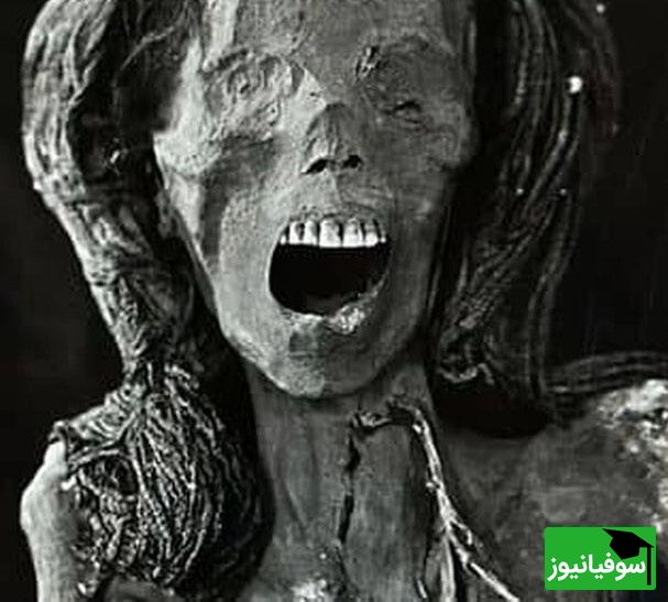 (تصاویر) ترسناکترین مومیایی مصر باستان با موهای واقعی رنگشده با حنا! / چهرهای که بعد از 3 هزار سال هنوز زنده به نظر میرسد 😱