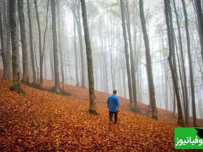 اولین نشانه‌های پاییز در شمال! سوادکوه با رنگ‌هایی که چشم رو جادو می‌کنن؛ جایی که طبیعت با دلت حرف می‌زنه+ ویدئو