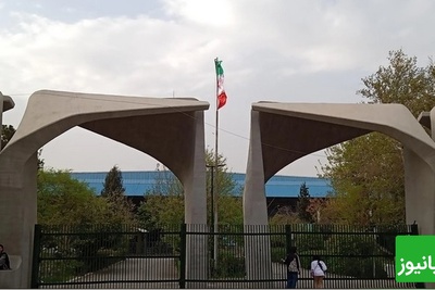 طرح جدید دانشگاه تهران برای مهارتآموزی دانشجویان؛ کلید موفقیت شغلی نسل آینده