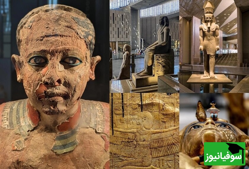 قدم در سرزمین فرعون‌ها بگذارید! جایی در موزه قاهره که تابوت‌های طلایی درخشش جاودان تاریخ‌اند/ هر نگاه، سفری به 3000 سال پیش+ فیلم / عکس