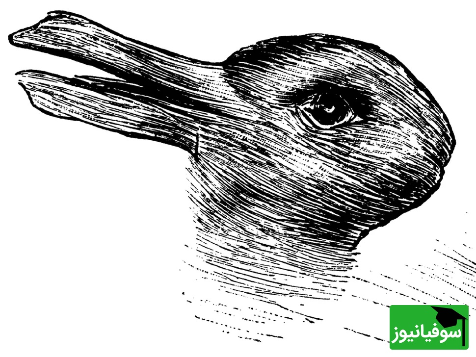 خطای دید