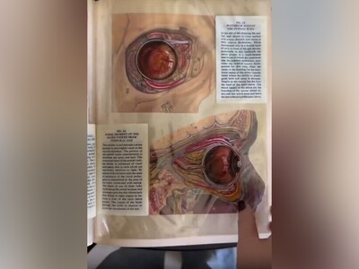 ویدیو/ زیباترین جزوۀ شیشه‌ای پزشکی در جهان/ دانشجویان علوم پزشکی نظرشون چیه؟