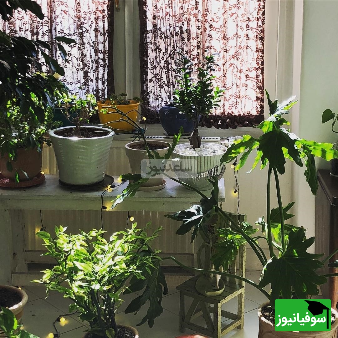 چیدمان منزل الهام کردا