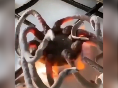 (ویدئو) اتفاق شگفت‌انگیزی که با سوختن قرص کلسیم رخ می‌دهد/ تبدیل کلسیم به هشت‌پا!