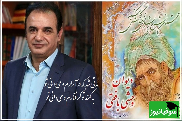 شعرخوانی رشید کاکاوند از سروده زیبایی  از وحشی بافقی که که روح و جان را زنده می‌کند/ جان من سنگدلی، دل به تو دادن غلط است+ ویدیو