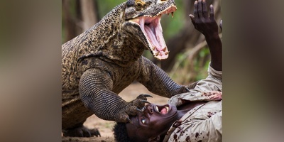 مستند حیات وحش/ راز جنگل/ حمله هولناک اژدهای کومودو برای بلعیدن یک انسان درسته