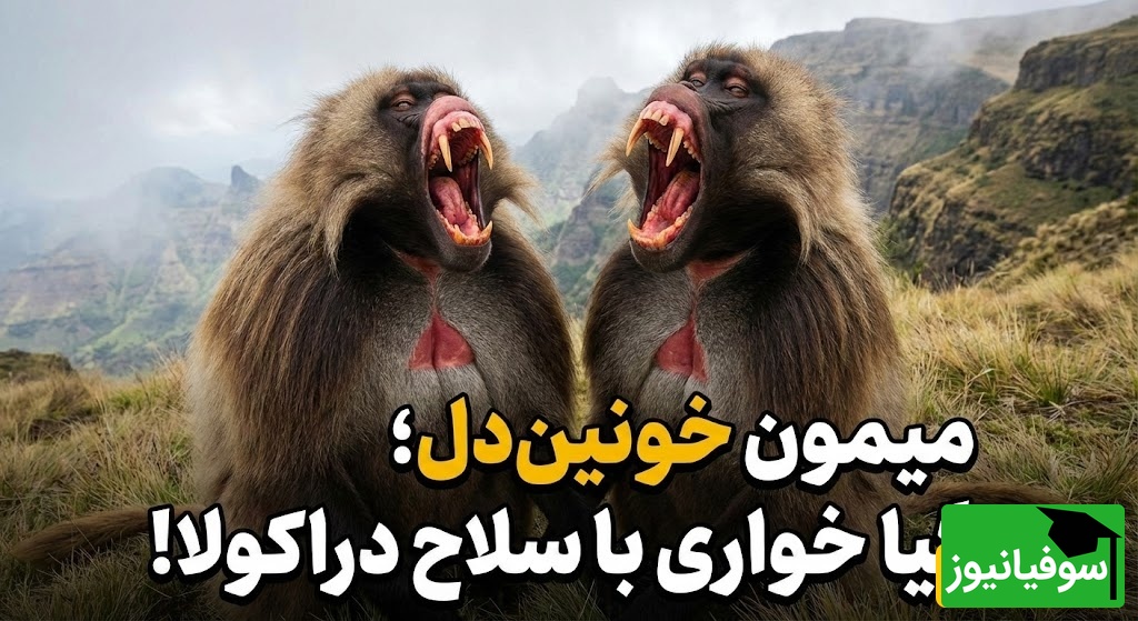 (ویدئو) مستند حیات‌وحش حیوانات؛ ماجرای امروز راز بقا: تضاد عجیب در طبیعت؛ وحشی‌ترین چهره برای صلح‌جوترین حیوان