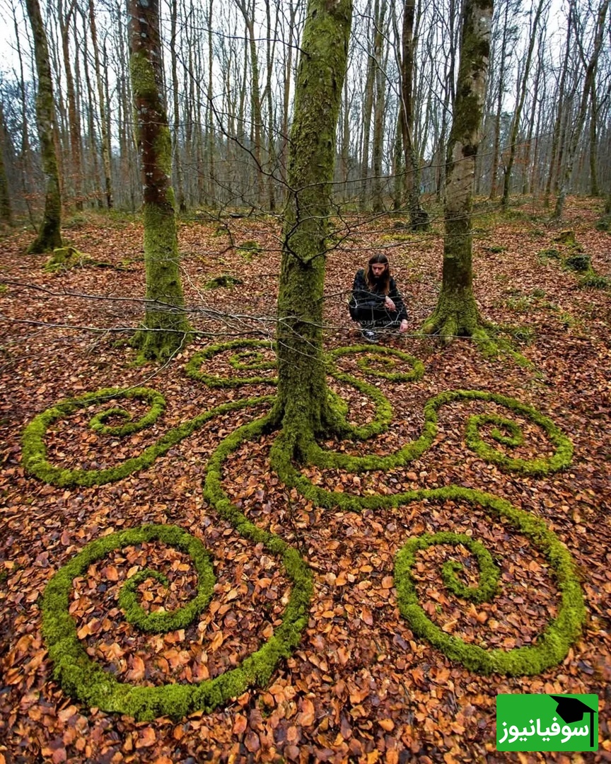 موسکو، جنگل‌های مین‌وِر، ولز
