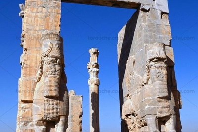 (عکس) از تخت جمشید تا دانشگاه شیکاگو؛ داستان سرستون هخامنشی که با عظمتش تاریخ و فرهنگ ایران را جاودانه ساخت