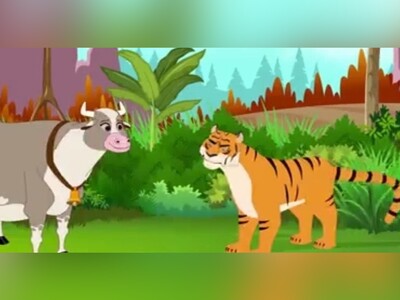 ویدیو/ داستان انگلیسی «گاو راستگو و ببر درنده»