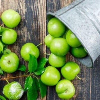 معرفی 13 خاصیت سبز برای گوجه سبز (آلوچه)