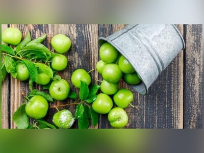 معرفی 13 خاصیت سبز برای گوجه سبز (آلوچه)
