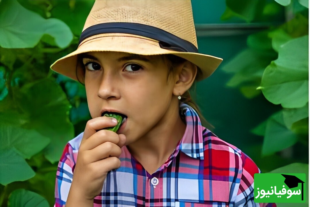 عکس | طنز دانشجویی روز/ خیار میوه‌ای ساده برای مردم ابزار چندمنظوره برای حقوقی‌ها