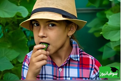 عکس | طنز دانشجویی روز/ خیار میوه‌ای ساده برای مردم ابزار چندمنظوره برای حقوقی‌ها