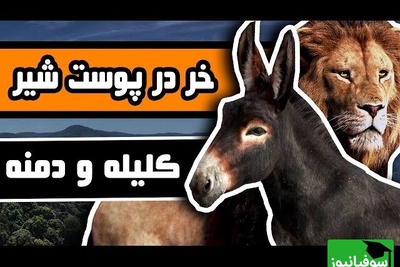 حکایت‌های خواندنی/ خری در پوست شیر؛ داستان‌ فوق جذاب و آموزنده کلیله و دمنه که باید آویزه گوش کرد