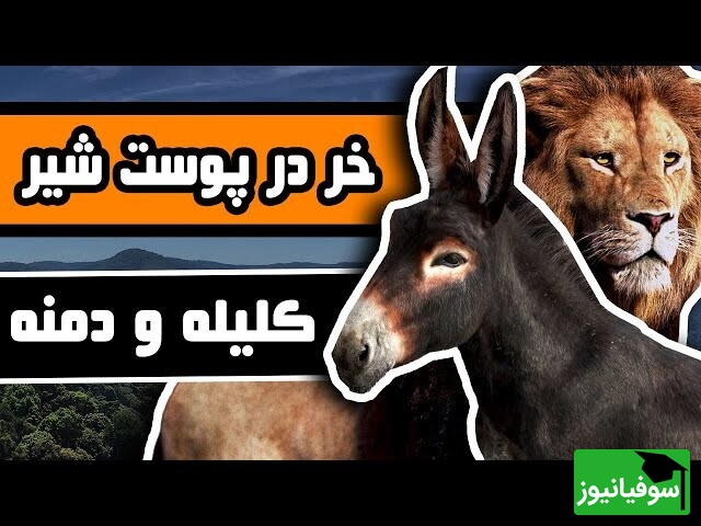 حکایت‌های خواندنی/ خری در پوست شیر؛ داستان‌ فوق جذاب و آموزنده کلیله و دمنه که باید آویزه گوش کرد