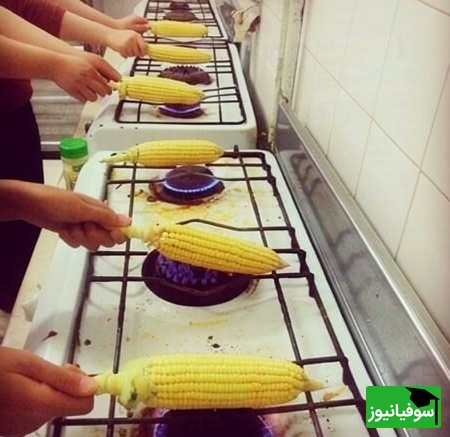 زندگی دانشجویی