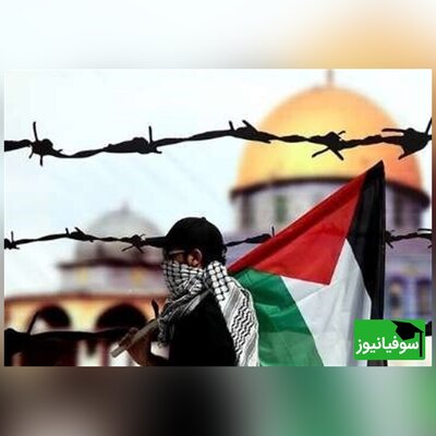 (ویدئو) دانشگاه فلسطین با 315 مین توسط اسرائیل منفجر شد