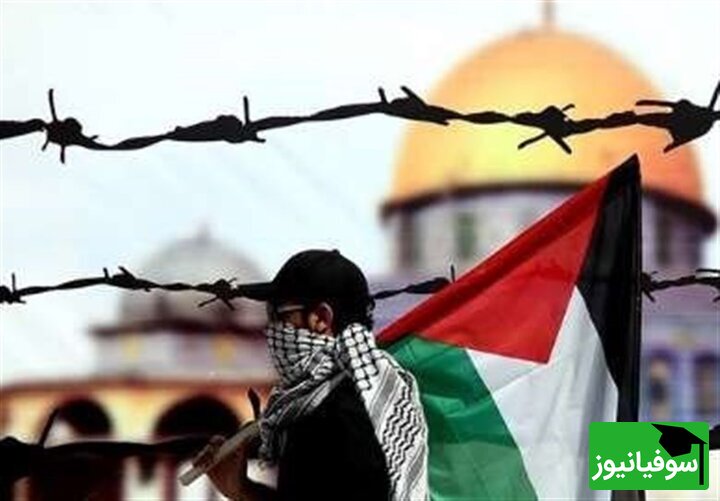 (ویدئو) دانشگاه فلسطین با 315 مین توسط اسرائیل منفجر شد