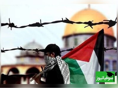 (ویدئو) دانشگاه فلسطین با 315 مین توسط اسرائیل منفجر شد