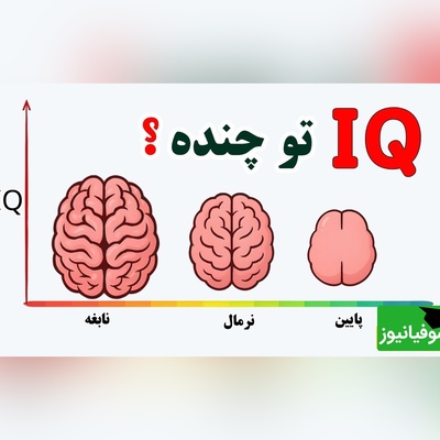 تستی که همه را به چالش می‌کشد/ 91٪ نمی‌توانند این تست را حل کنند!