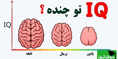 تستی که همه را به چالش می‌کشد/ 91٪ نمی‌توانند این تست را حل کنند!
