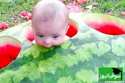 خلاقیت تحسین‌برانگیز و خنده‌دار "عروس تبریزی" درتزئین هندوانه با الهام از دندان  و دندانپزشکی حماسه نیست پس چیه؟/ 1000 آفرین به این ذهن پر از ایده و خلاق🤣