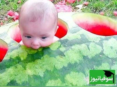 خلاقیت تحسین‌برانگیز و خنده‌دار "عروس تبریزی" درتزئین هندوانه با الهام از دندان  و دندانپزشکی حماسه نیست پس چیه؟/ 1000 آفرین به این ذهن پر از ایده و خلاق🤣